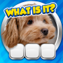 icon Guess it! Zoom Pic Trivia Game (Raad het maar! Zoom foto Trivia-spel)