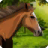 icon Horse Riding Adventure(Paardrijden Adventure 2017-Horse Racing Jumping) 1.2