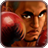 icon Pro 3D Boxing(Super Boxing: City Fighter) 2.0.2