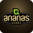icon Ananas Gurme(Ananas Gurme
) 1.0.1