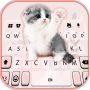 icon Cutie Kitty(Cutie Kitty Keyboard Background
)