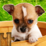 icon Dog Puzzles(Dogs Jigsaw Puzzle Game Kids)