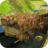 icon Army Cargo Transport challenge(Army Cargo Transport Challenge) 1.2