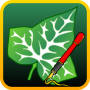 icon Ivy Draw(Klimopname: vectortekening)