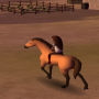 icon Horse Riding Free(Paardrijden)