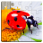 icon Insect Puzzles(Insect Jigsaw Puzzle Game Kids) 35.0