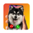 icon Your Call: Screen Change(Uw oproep: Scherm wijzigen) 1.0.6