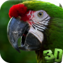 icon Parrot 3D Video Live Wallpaper(Parrot 3D Video Live Achtergrond)