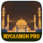 icon dilsoft.g.musalmon_pro_2021(Muslim Pro - Gebed, Koran.) 8.0