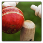 icon Chauka!(Chauka Cricket Scoren App)
