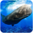 icon The Sperm Whale(The) 1.0.8