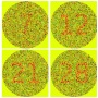 icon Color Blindness Test App