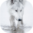 icon Wolfs live wallpaper(Wolven leven behang) 5.5