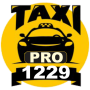 icon TAXI PRO 1229 (TAXI PRO 1229
)