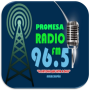 icon Promesa Radio FM(Promesa Radio FM 96.5
)