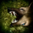 icon Dog Online(Dog Online - Monster Virus
) 1.48