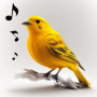 icon Bird Calls(Bird Calls, Sounds Ringtones)