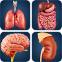 icon My Organs Anatomy