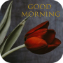 icon Romantic Morning(Good Morning Flowers Roses GIF
)