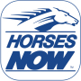 icon Horses Now(Paarden nu)