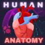 icon Human Anatomy E Theories(Menselijke anatomie E Theorieën
)