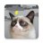 icon Grumpy Weather(Grumpy Cat Weather) 6.0.2