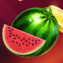 icon Wild Fruits(Wild Fruits
)