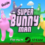 icon Guide for Super Bunny man game(Guide for Super Bunny man game
)