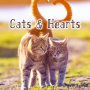 icon jp.co.a_tm.android.plus_heart_cats(Love Wallpaper Cats Hearts Theme
)