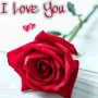 icon Love Flowers(Liefde Romantische bloemen GIF)