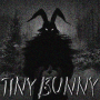 icon com.tinybunny.najbouhlal(Tiny Bunny новелла tips
)
