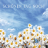 icon com.newandromo.dev6813.app802701(Fijne dag verder Foto) 2.4.5