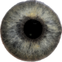 icon Eye Diagnosis(Oogdiagnose)