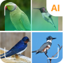 icon Bird identifier (Bird identifier
)