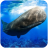 icon The Sperm Whale(The Potvis
) 1.0.1