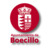 icon Ayto. Boecillo(Gemeenteraad van Boecillo) 10.01.17