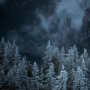 icon Forest Wallpapers(Bos Wallpapers)