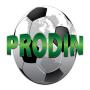 icon Prodin - Sport Pools ()