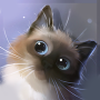 icon Peper Kitten