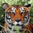 icon Tiger Wallpaper(Tiger Wallpapers) 2.1.0
