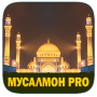 icon dilsoft.g.musalmon_pro_2021(Muslim Pro - Gebed, Koran.)