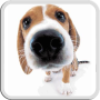 icon DOG LICKS SCREEN LWP FREE (HOND LICKS SCHERM LWP GRATIS)