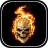 icon Skulls Live Wallpaper(Schedels Live Achtergrond) 1.0.5