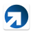 icon Raisin 3.19.0