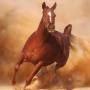 icon Horse Run(Paardenrennen)