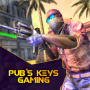 icon Pub(Pub's Keys Gaming
)