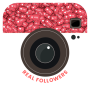 icon Real Followers for instagram(Krijg echte volgers voor instagram
)