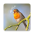 icon Sounds of birds. Songs and bird tones(Vogelgeluiden. Leuke liedjes.) 1.22