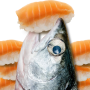 icon com.HelloFish.Salmon(鮭 魚吃 壽司
)