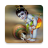 icon JanmashtmiStatus(Janmashtami Videostatus) 1.0.1